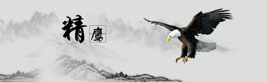 人才策略 人才策略