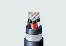 仪控电缆 仪控电缆